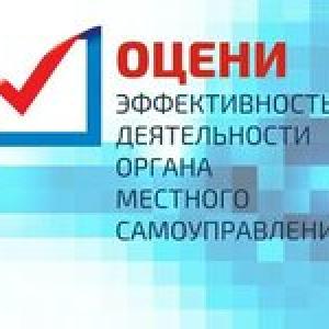 «Оценка деятельности органов местного самоуправления»